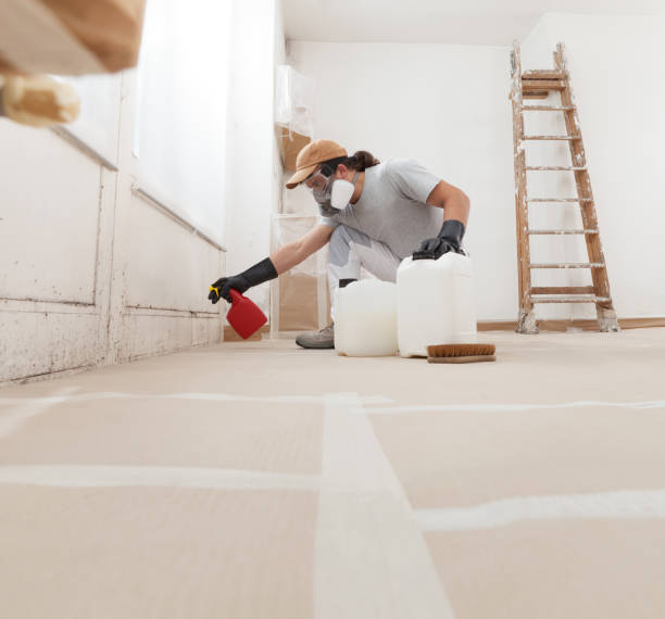 Best Mold Remediation for Rental Properties  in USA